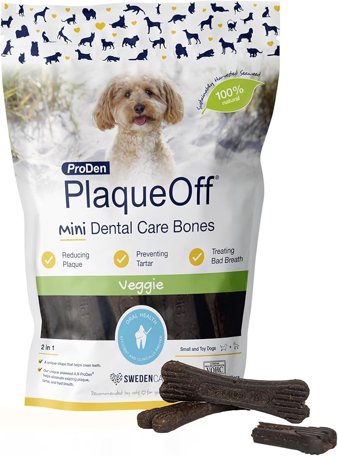 Exemple 1 — Soins dentaires pour chiens